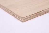 16mm nkwakọ ngwaahịa plywood